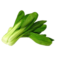 Bok Choi