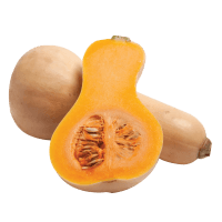 Butternut Squash