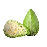 Hispi (sweetheart) Cabbage
