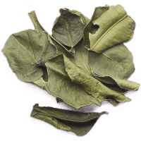 Lime Leaves
