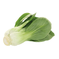 Pak Choi