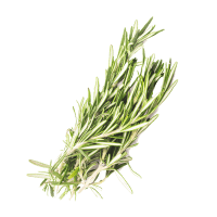 Rosemary