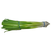Scallions