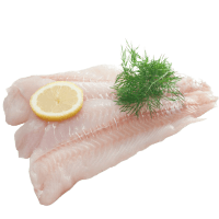 White Fish Fillets