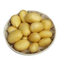 charlotte potatoes