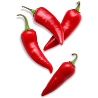chilli