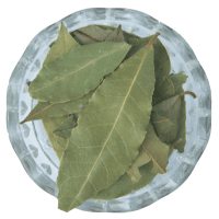 Bay leaf