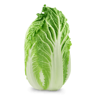 Chinese Cabbage