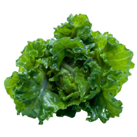 Kale